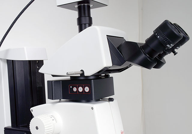 AmScope 7X-45Xサイマルフォーカル蛍光三眼鏡ブームの実体顕微鏡+ 10MP