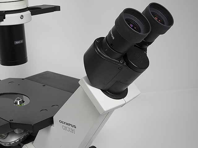 無題ドキュメント