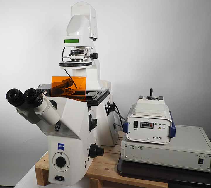 ZEISS Axiovert 5 - 細胞培養と研究用の顕微鏡